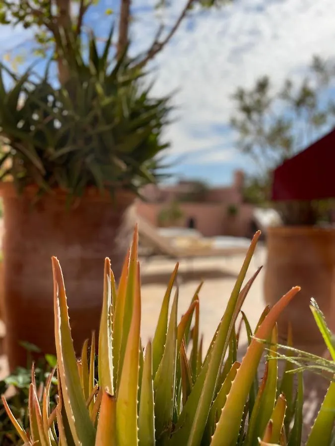 Riad Dar Foundouk&Spa Marrakesh 4*,  Marruecos